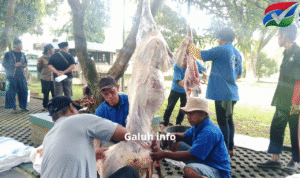 GALUH.INFO_20260528_072310_0000