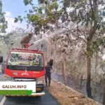 Damkar Pos WMK Banjarsari Gercep Atasi Kebakaran Lahan di Ampah Jati Ciamis