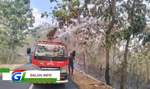 Damkar Pos WMK Banjarsari Gercep Atasi Kebakaran Lahan di Ampah Jati Ciamis