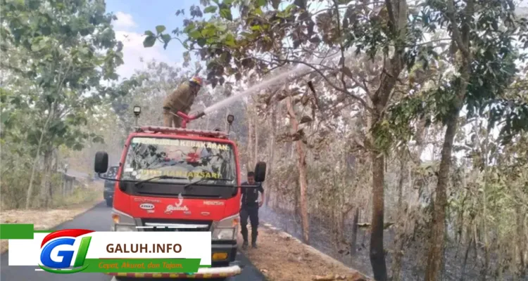 Damkar Pos WMK Banjarsari Gercep Atasi Kebakaran Lahan di Ampah Jati Ciamis