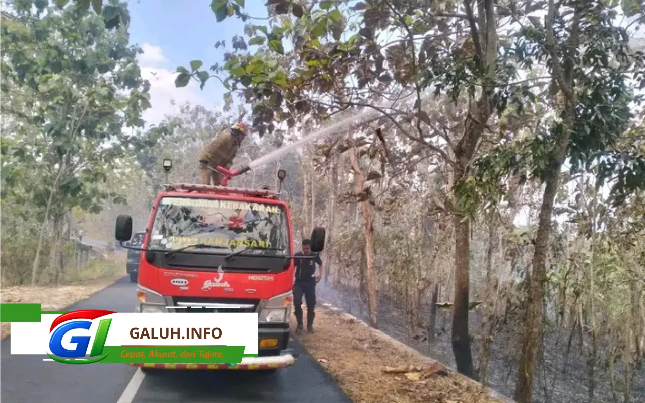 Damkar Pos WMK Banjarsari Gercep Atasi Kebakaran Lahan di Ampah Jati Ciamis