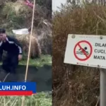 viral pendaki mandi pakai sabun mata air gunung argopuro