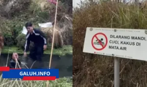 viral pendaki mandi pakai sabun mata air gunung argopuro