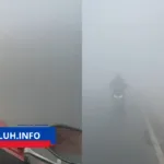 Kabut asap Karhutla Kalimantan 1487 titik panas