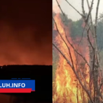 TNWK menduga ada unsur kesengajaan, sementara petugas terus berupaya memadamkan
