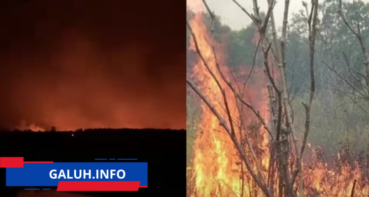 TNWK menduga ada unsur kesengajaan, sementara petugas terus berupaya memadamkan