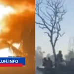 kebakaran kampung adat sade lombok 129 rumah ludes