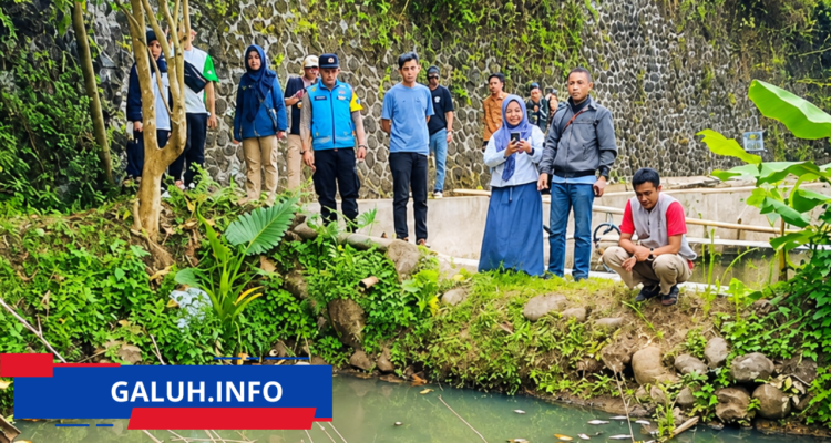 buatlah poto menjadi cerah seperti ipon 11