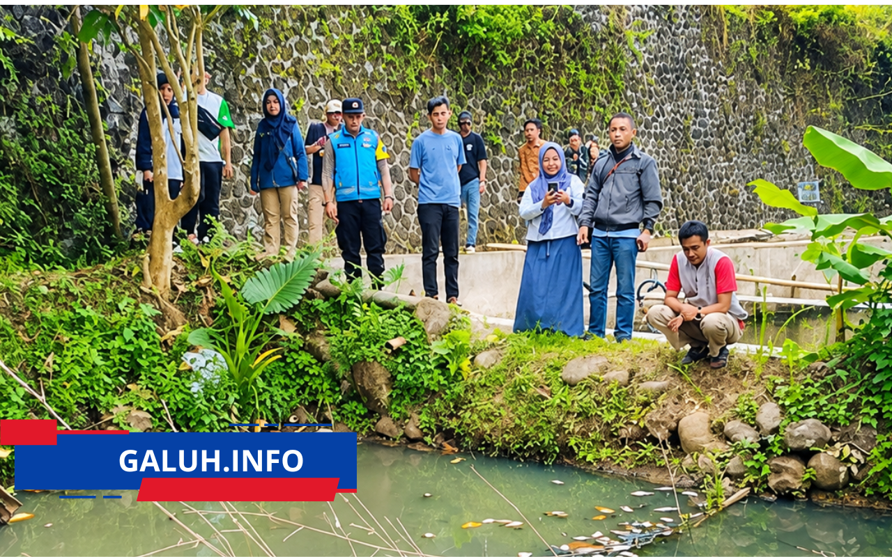 buatlah poto menjadi cerah seperti ipon 11