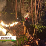 Kebakaran lahan terjadi di Desa Neglasari, Pamarican, Ciamis.