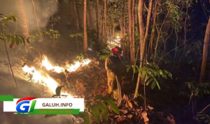 Kebakaran lahan terjadi di Desa Neglasari, Pamarican, Ciamis.