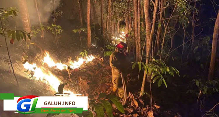 Kebakaran lahan terjadi di Desa Neglasari, Pamarican, Ciamis.