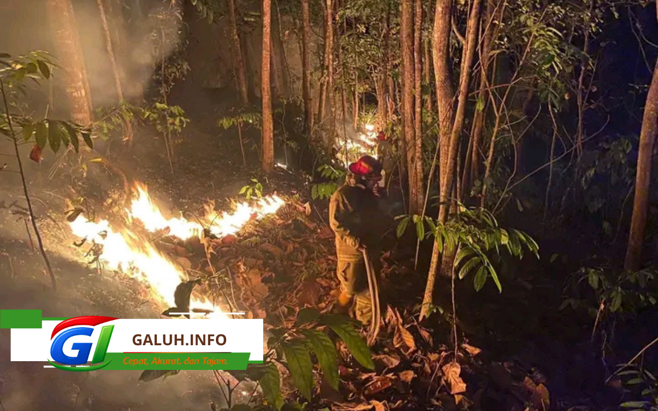 Kebakaran lahan terjadi di Desa Neglasari, Pamarican, Ciamis.