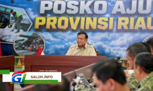 Prabowo Tinjau Karhutla Sumatera Selatan, Ancam Cabut Izin Korporasi Pembakar Lahan