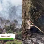 Polda Riau menangani 37 perkara karhutla sepanjang 2026