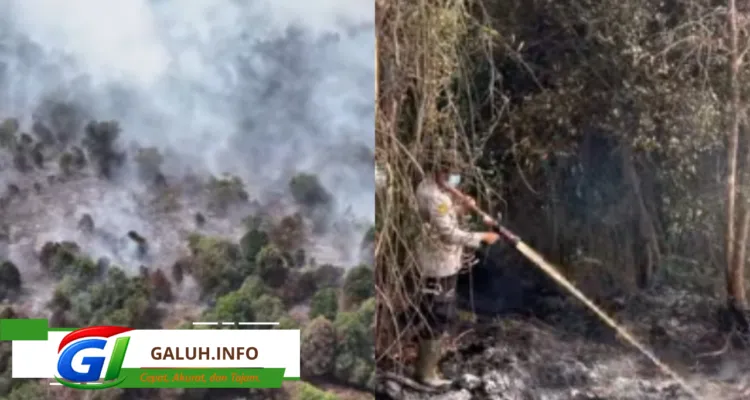 Polda Riau menangani 37 perkara karhutla sepanjang 2026