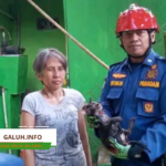 Kucing Masuk Sumur di Belakang SMPN 5 Ciamis, Begini Kronologinya