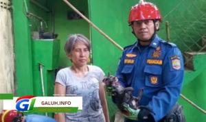 Kucing Masuk Sumur di Belakang SMPN 5 Ciamis, Begini Kronologinya