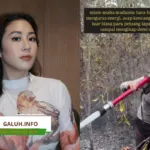 Sherina Munaf turun membantu pemadaman karhutla