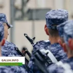 Sufmi Dasco Ahmad membenarkan adanya WNI yang direkrut menjadi tentara