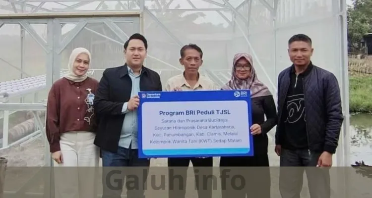 BRI Ciamis Salurkan Bantuan Hidroponik untuk KWT Sedap Malam Panumbangan