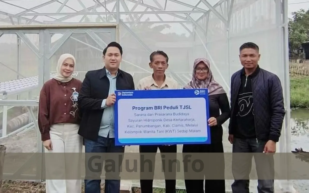 BRI Ciamis Salurkan Bantuan Hidroponik untuk KWT Sedap Malam Panumbangan
