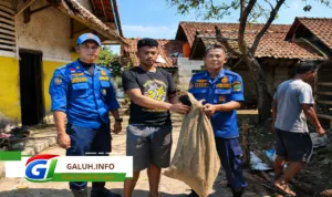 Seekor monyet ekor panjang yang awalnya menjadi hewan peliharaan berubah ganas Seekor monyet ekor panjang yang awalnya menjadi hewan peliharaan berubah ganas
