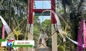 TNI AD mengungkap hasil investigasi Jembatan Gantung Garuda