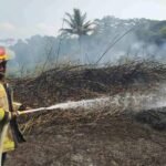Karhutla Melanda Bandung dan Ciamis, Tiga Titik Kebakaran Terjadi dalam Semalam
