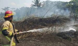 Karhutla Melanda Bandung dan Ciamis, Tiga Titik Kebakaran Terjadi dalam Semalam