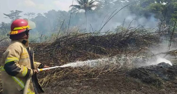 Karhutla Melanda Bandung dan Ciamis, Tiga Titik Kebakaran Terjadi dalam Semalam