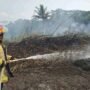 Karhutla Melanda Bandung dan Ciamis, Tiga Titik Kebakaran Terjadi dalam Semalam
