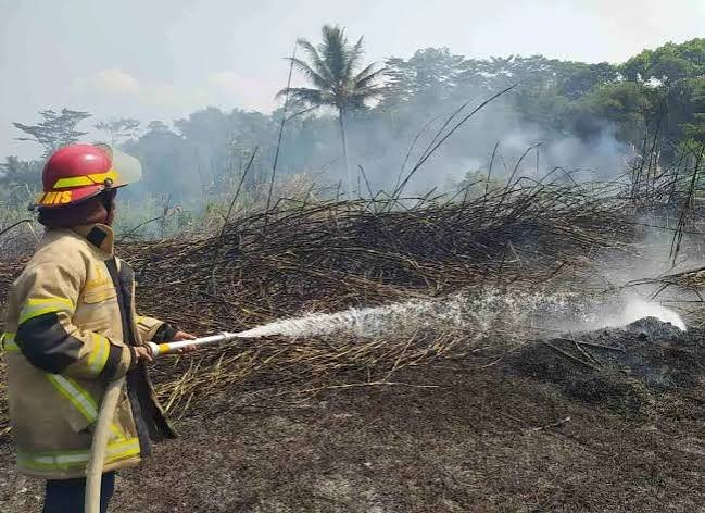 Karhutla Melanda Bandung dan Ciamis, Tiga Titik Kebakaran Terjadi dalam Semalam Karhutla Melanda Bandung dan Ciamis, Tiga Titik Kebakaran Terjadi dalam Semalam
